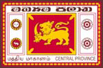 flag of central